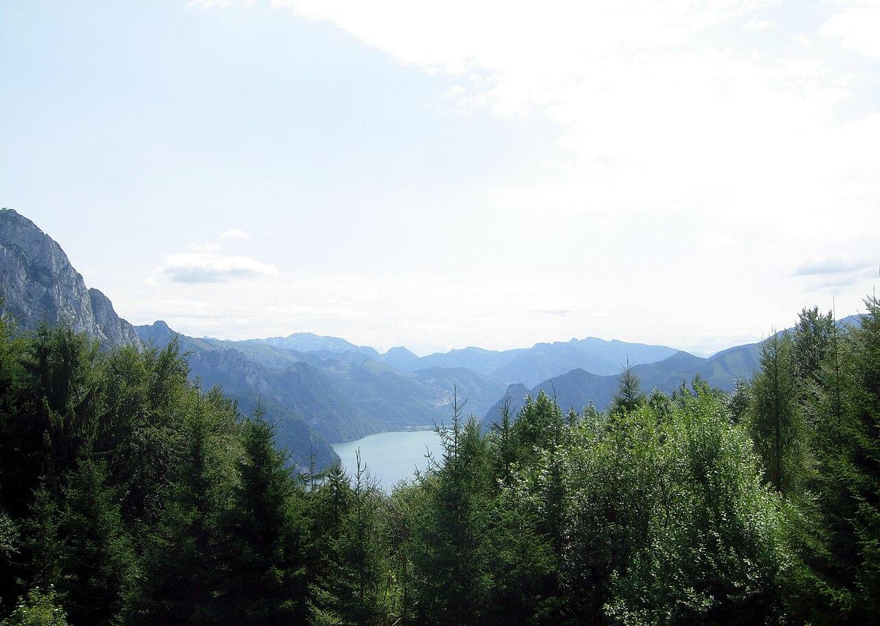 Blick durch grüne Bäume auf den Attersee und die Berge